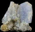 Thick, Tabular Blue Barite Crystals on Pyrite - Morocco #42224-2